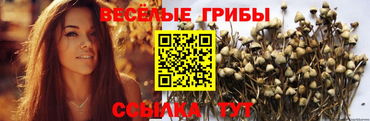 БУТИРАТ Протвино