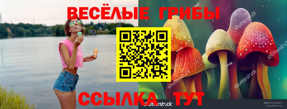 Протвино  что такое наркотик  Вход с VPN  Псилоцибиновые грибы Magic Shrooms 